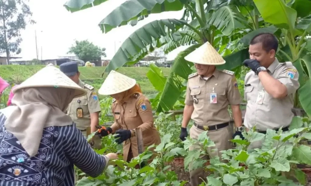 <p>Demi Penghijauan Dan Ketahanan Pangan, Sepanjang BKT Akan Ditanami Pisang Dan Jagung</p>
