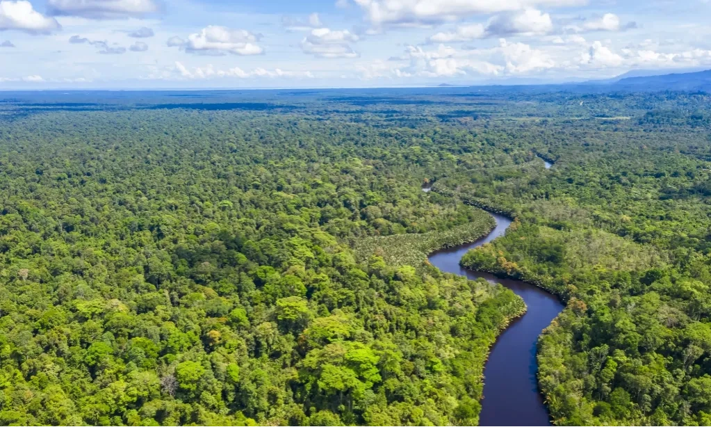<p>Menhut Tolak Dituding Deforestasi Hutan</p>