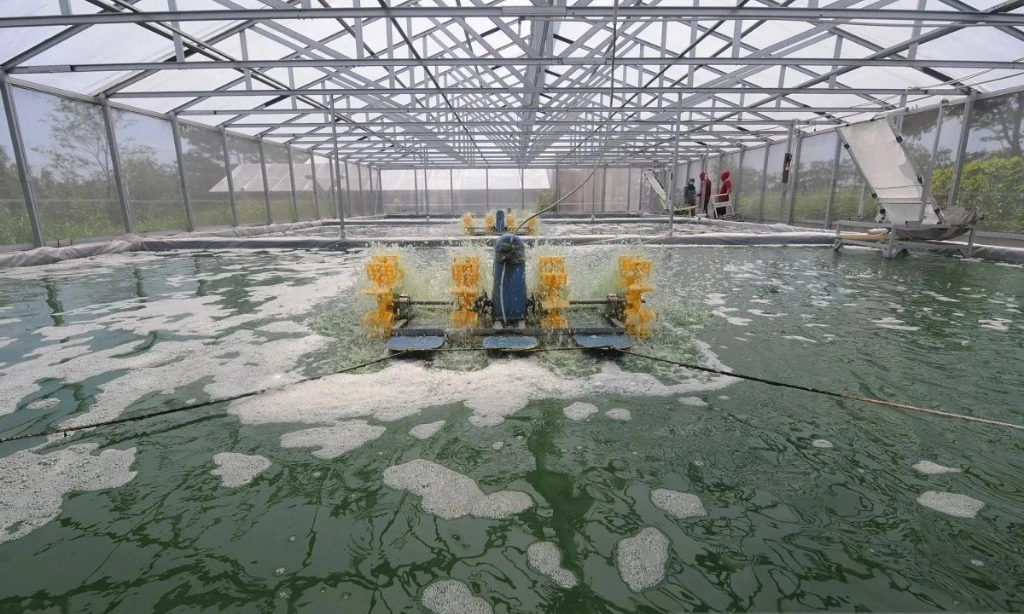 <p id="isPasted">OBAT Bidik Penjualan Pohon Cair Penyerap Karbon 50 Unit</p>