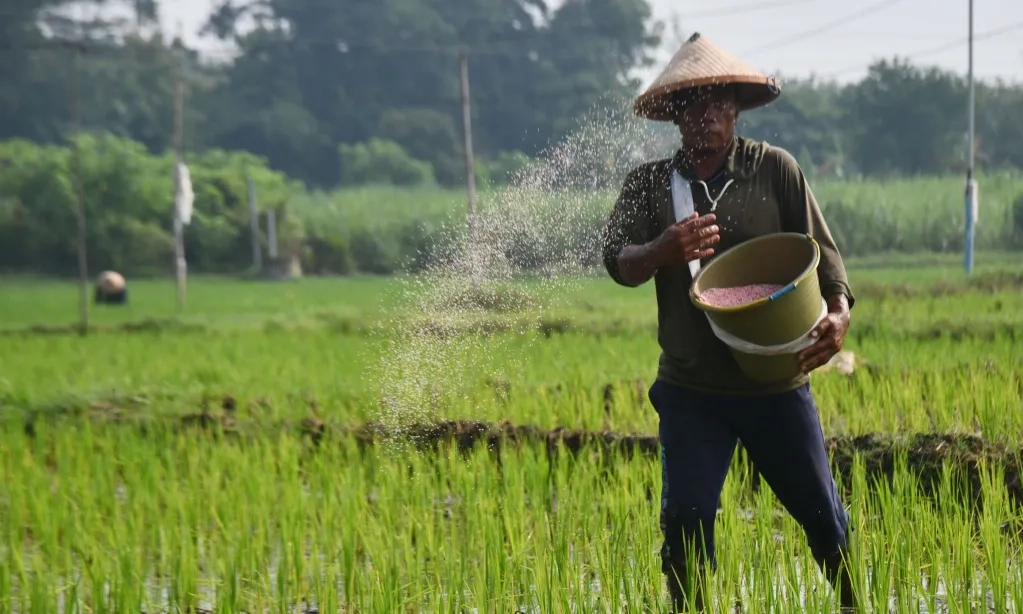 <p id="isPasted">Emisi Terus Terjadi, FAO Rekomendasikan Penggunaan Nitrogen Berkelanjutan</p>