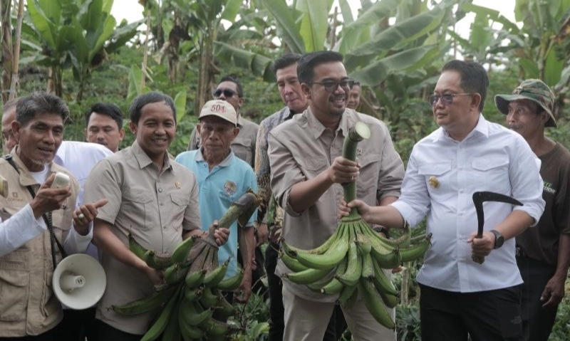 <p>IAD Perhutanan Sosial Lumajang Beri Manfaat</p>