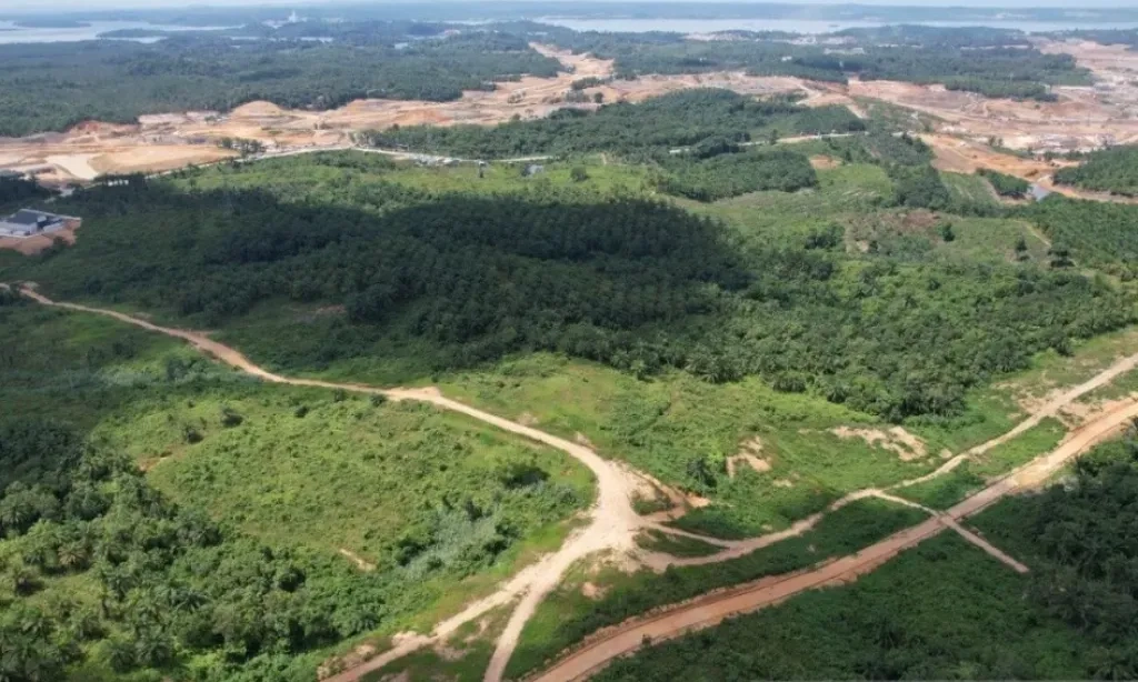 <p>Bank Tanah Pastikan Laksanakan Kewajiban Reforma Agraria Di Penajam Paser Utara</p>