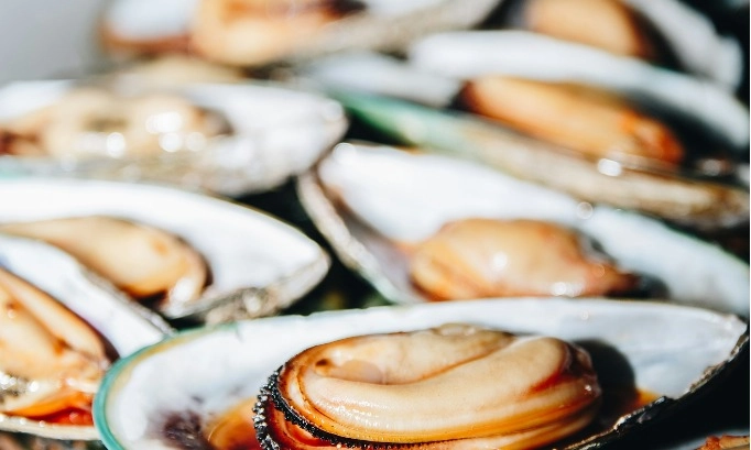 <p>Konsumsi Kerang Selama Kehamilan Bukan Penyebab Autisme Pada Anak</p>