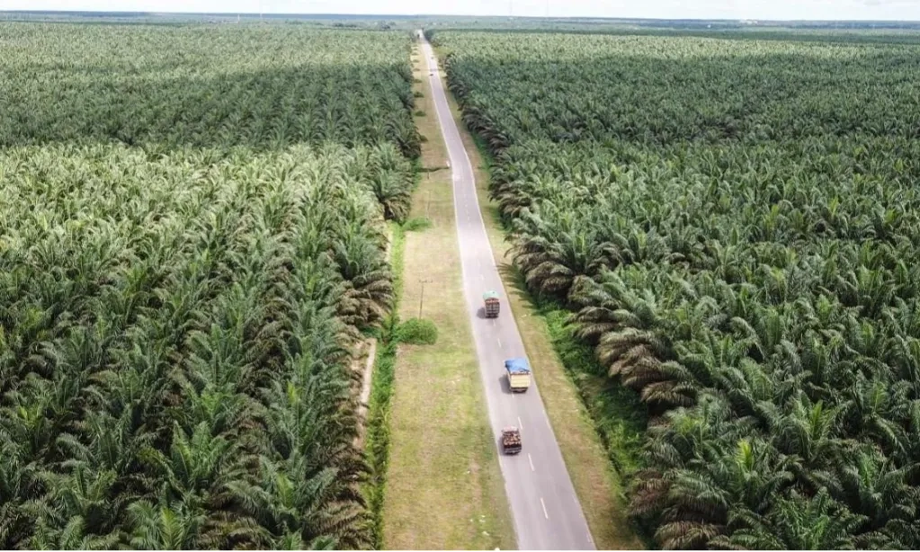 <p>Pemerintah Bereskan Tumpang Tindih Lahan</p>