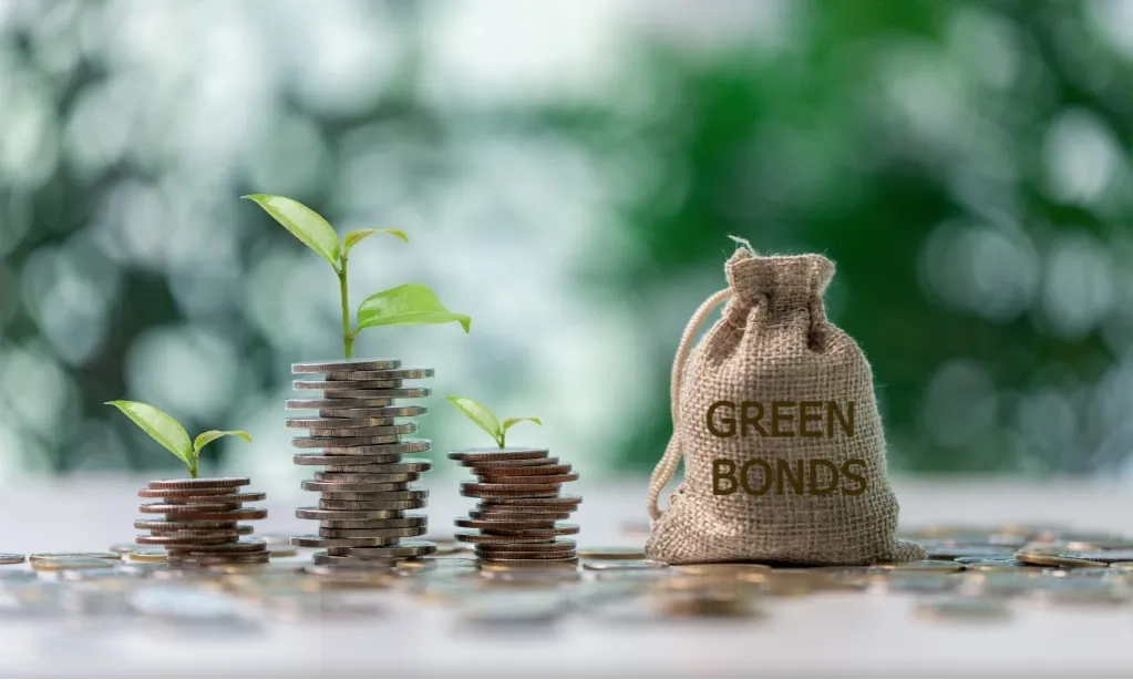 <p>Pefindo Resmi Jadi Penyedia Reviu Eksternal <em>Green Bond</em></p>