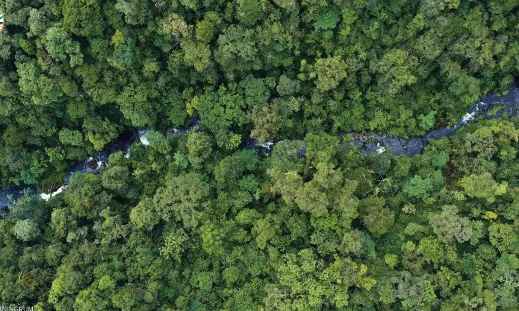 <p>Keputusan Menhut Libatkan TNI Jaga Hutan Dikritik</p>