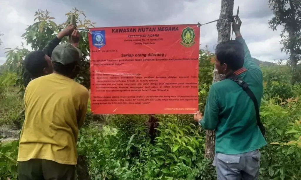 <p>LPEM UI: Penertiban Kawasan Hutan Harus Dilakukan Dengan Bijak</p>