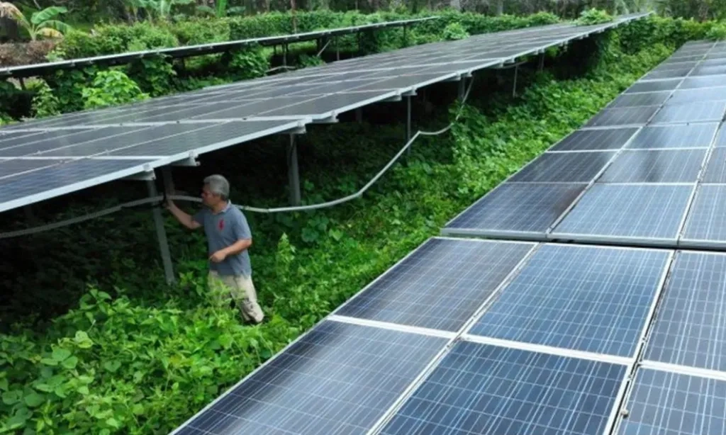 <p id="isPasted">Dirjen EBTKE Pesimistis Bauran EBT Tahun Ini Tercapai 23%</p>