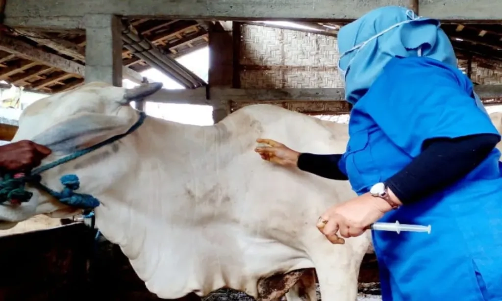 <p>Kementan Terjunkan Tim Investigasi Kasus Gejala Antraks Gunungkidul</p>