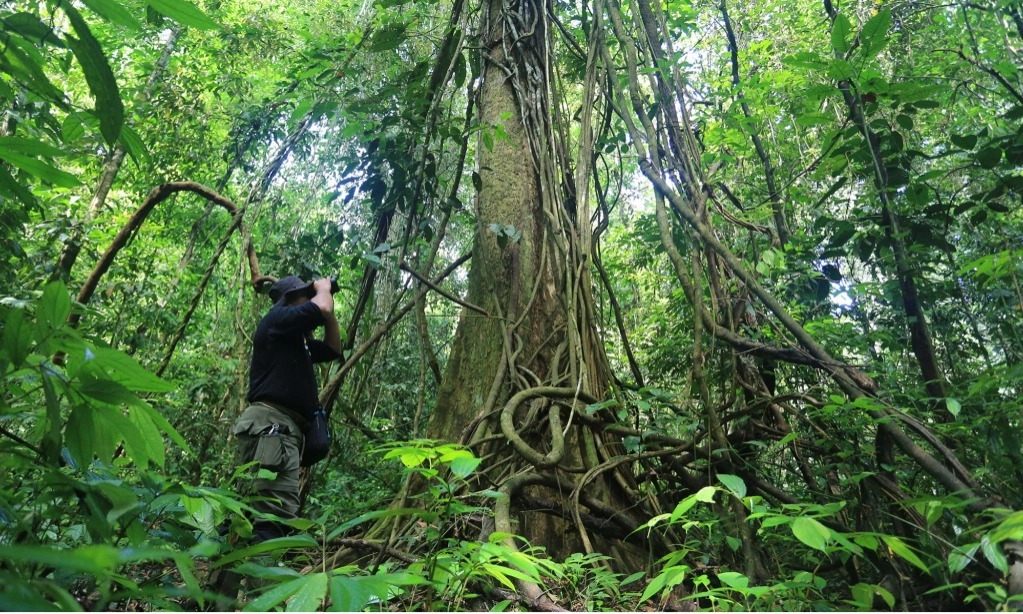 <p>Tanaman Pangan Jangan Ubah Karakteristik Kawasan Hutan</p>
