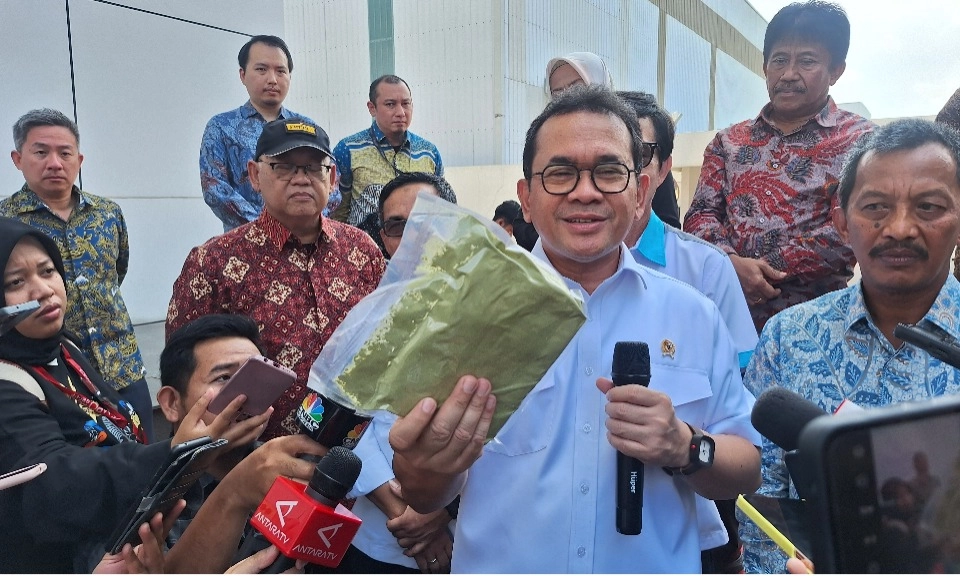 <p id="isPasted">Indonesia Perdana Ekspor Kratom Bubuk 351 ton ke Eropa dan Amerika</p>
