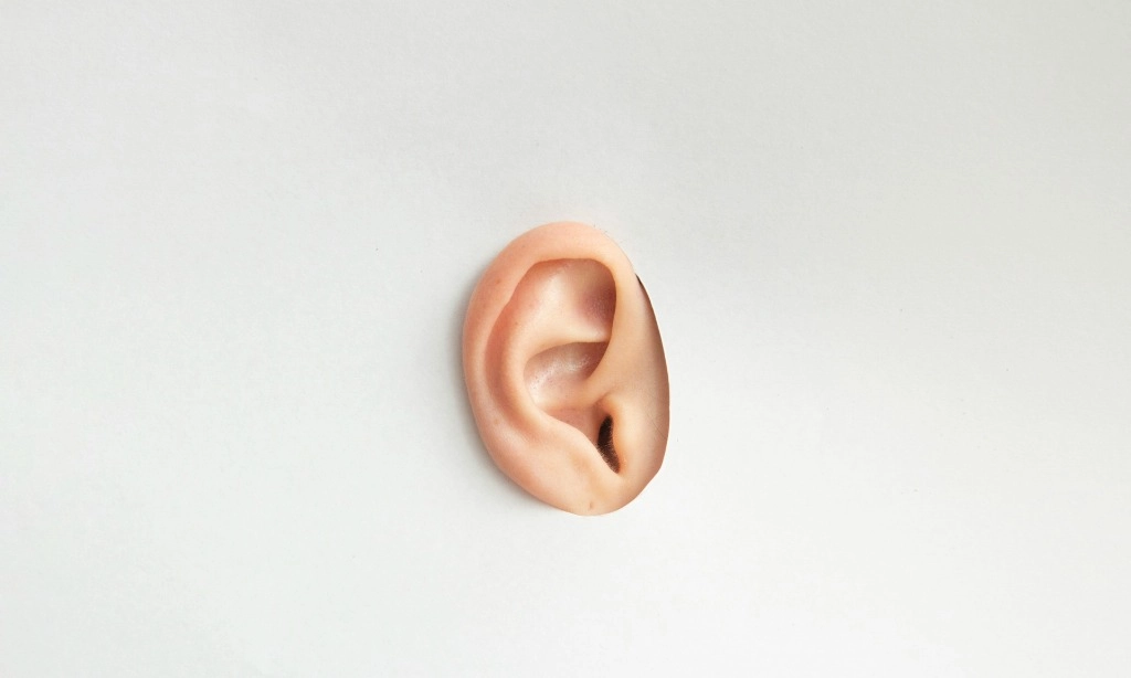 <p>Bagaimana Sebagian Orang Bisa Menggoyangkan Telinga?</p>