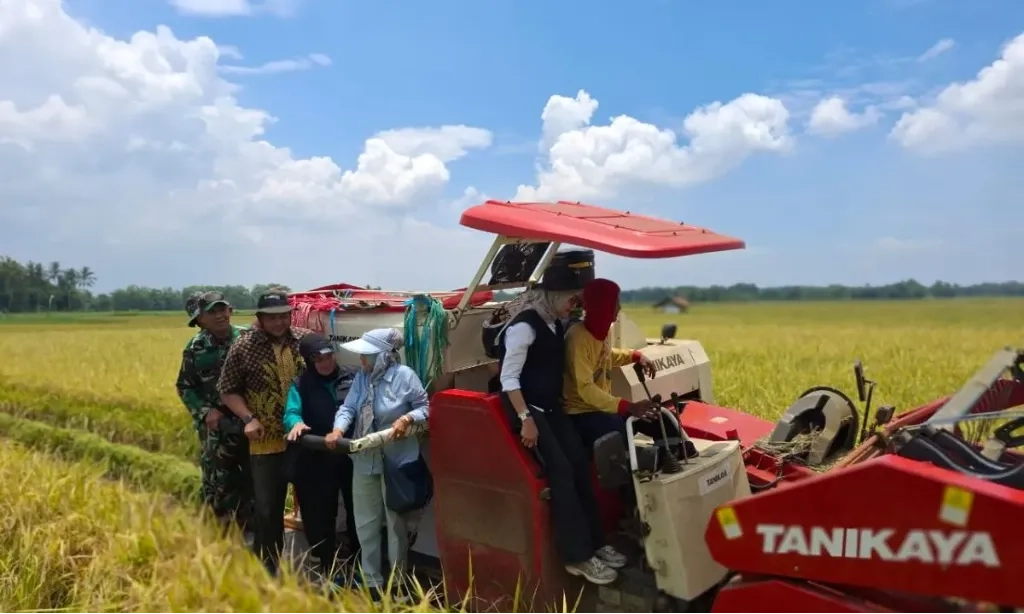 <p dir="ltr" id="isPasted">Turun Tipis, Nilai Tukar Petani Februari 2025 Capai 123,45 Poin</p>