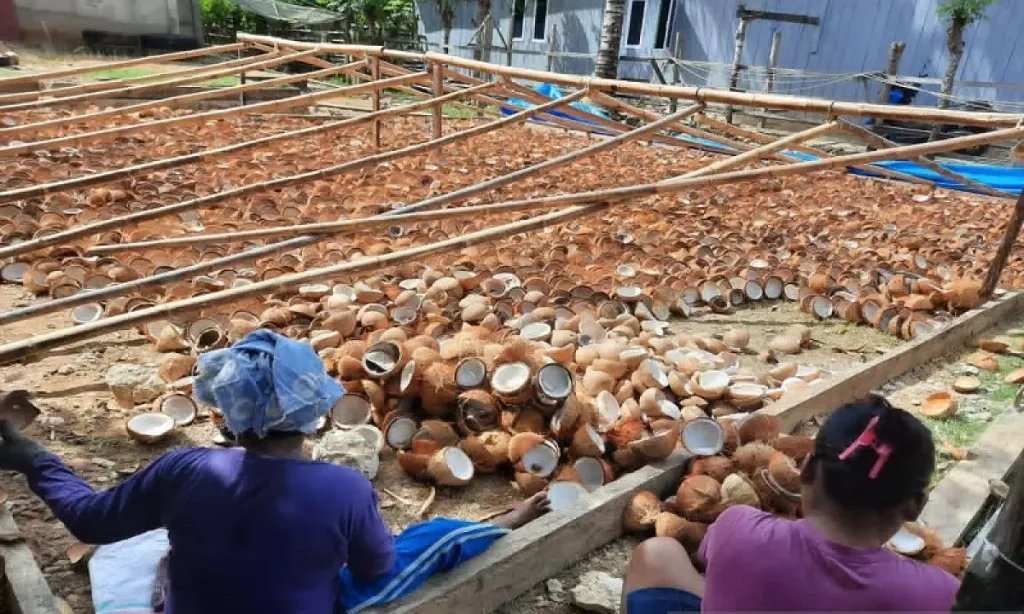 <p id="isPasted">Barantin Sertifikasi Ekspor Kelapa Indonesia Ke Lebih Dari 100 Negara</p>