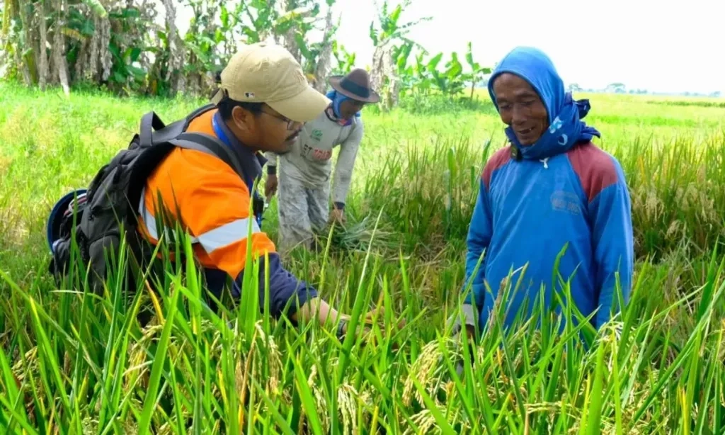 <p>Dukung Swasembada Pangan, WPI Perluas Kemitraan</p>