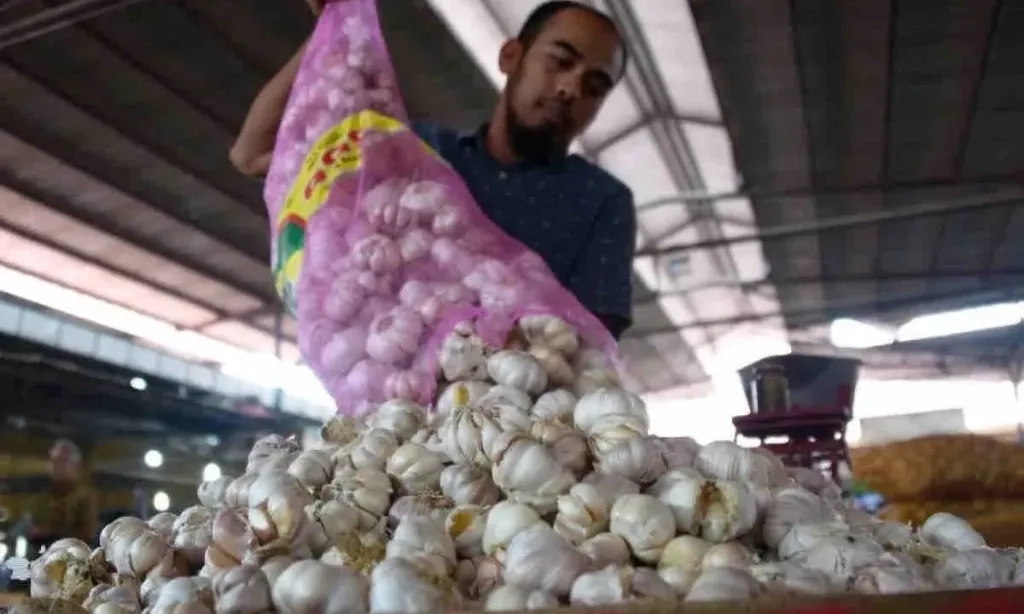 <div dir="auto" id="isPasted">Kemendag Klaim Telah Beri Sanksi 68 Importir Bawang Putih</div>