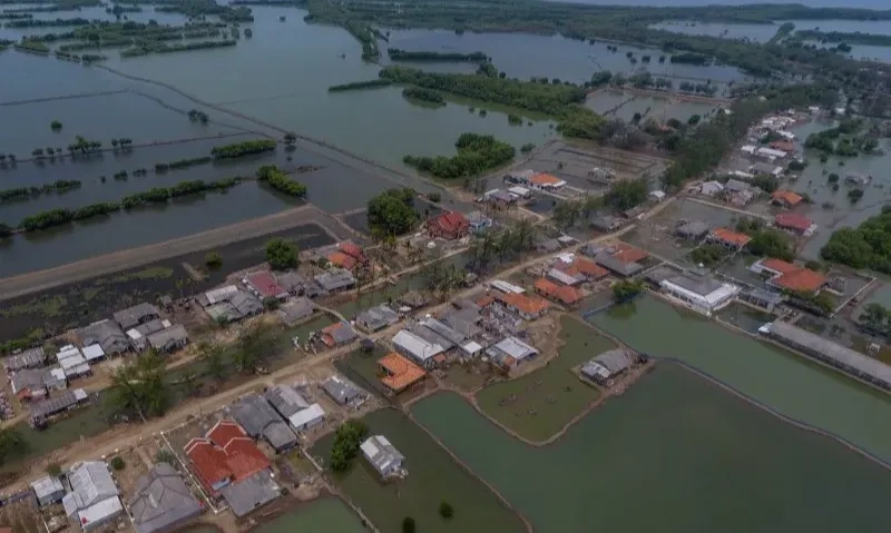 <p>Pemerintah Berencana Bentuk Satgas Penanganan Pesisir Pantura Jawa</p>