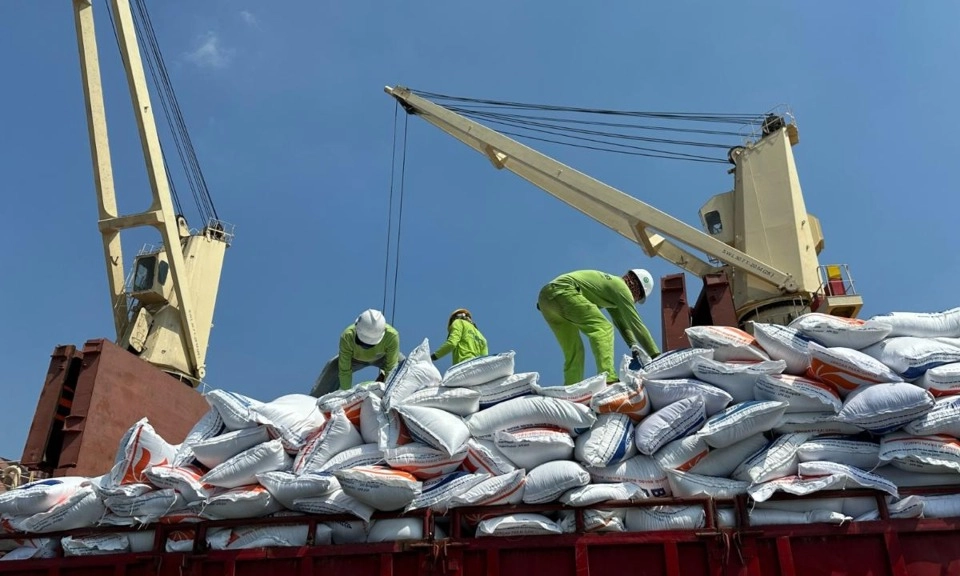 <p>Pelindo Transformasi Pelabuhan Non-Petikemas Perkuat Sistem Logistik Nasional</p>