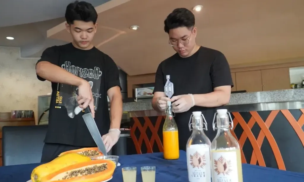 <p>Mahasiswa PCU Surabaya Olah Pepaya Jadi <em>Wine</em> Bernilai Ekonomis</p>