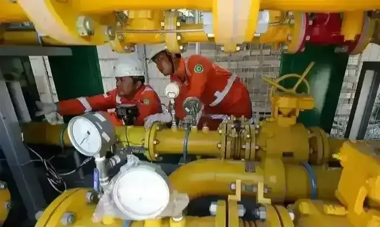 <p>PGN Perluas Pemanfaatan Gas Bumi ke BSB City</p>