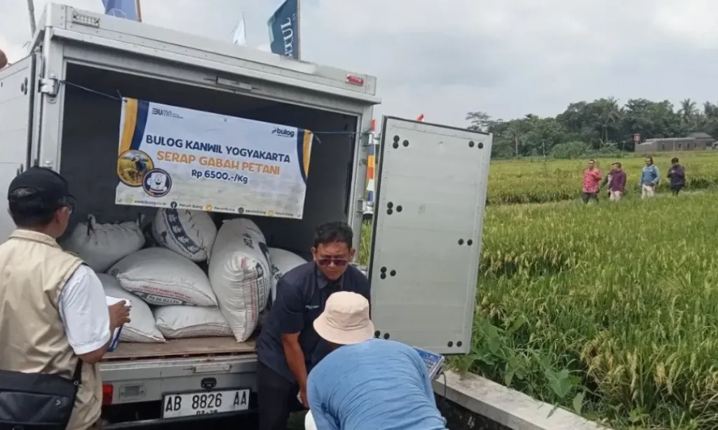 <p>Bulog Jemput Bola Serap Gabah Kering Panen Petani</p>