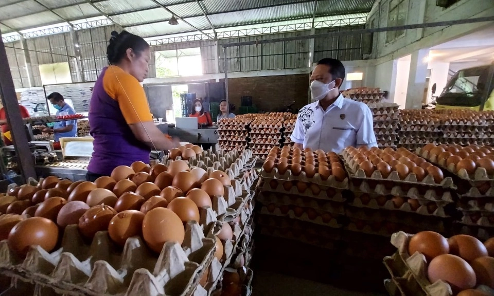 <div dir="auto" id="isPasted">Kementan: RI Berlimpah Pasokan Telur Di Tengah Fenomena Global <em>Eggflation</em>&nbsp;</div>