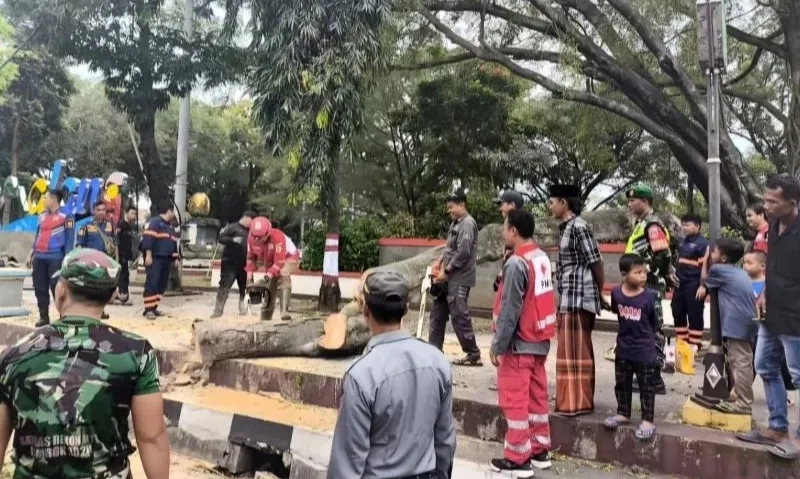<p>Mensos Pastikan Santunan 22 Korban Pohon Tumbang Saat Salat Ied</p>
