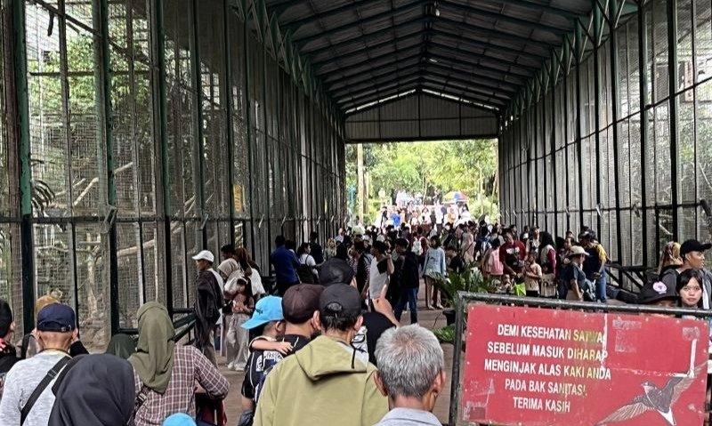 <p>Warga Jakarta Jadikan Ragunan Destinasi Edukasi Terjangkau Saat Lebaran</p>