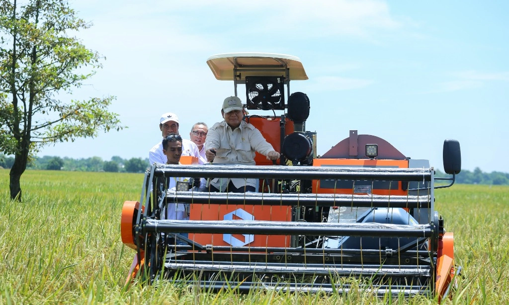 <p>BPS: Produksi Beras Januari-Mei 2025 Capai 16,62 Juta Ton</p>