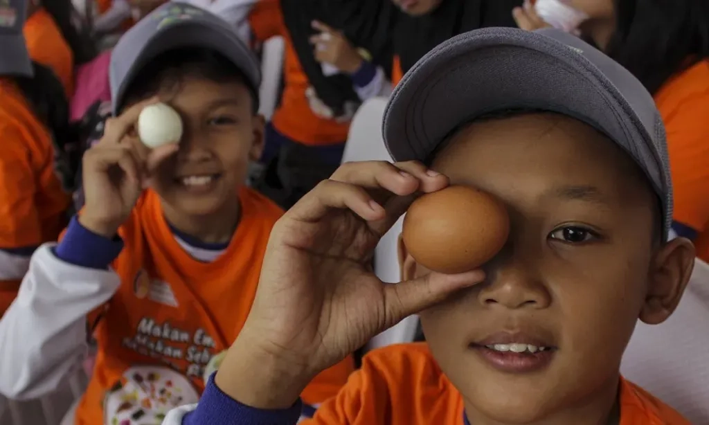 <div dir="auto" id="isPasted">Usai Klaim Surplus Padi Dan Jagung, Zulhas Bakal Kejar Produksi Protein</div>