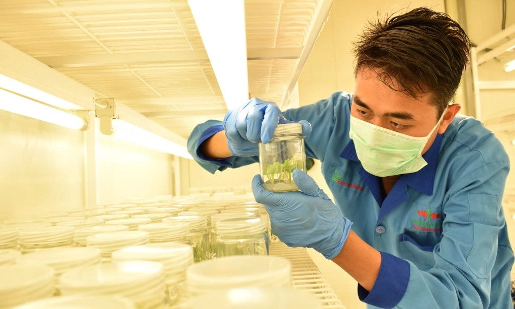 <p id="isPasted">EWINDO Segera Resmikan Fasilitas Penelitian Dan Pengembangan Benih Hortikultura Baru</p>