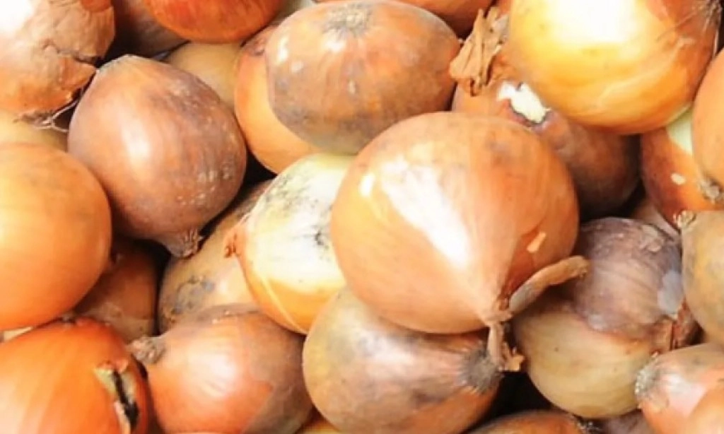 <p id="isPasted">Barantin RI Dan Selandia Baru Perkuat Karantina Bawang Bombai</p>