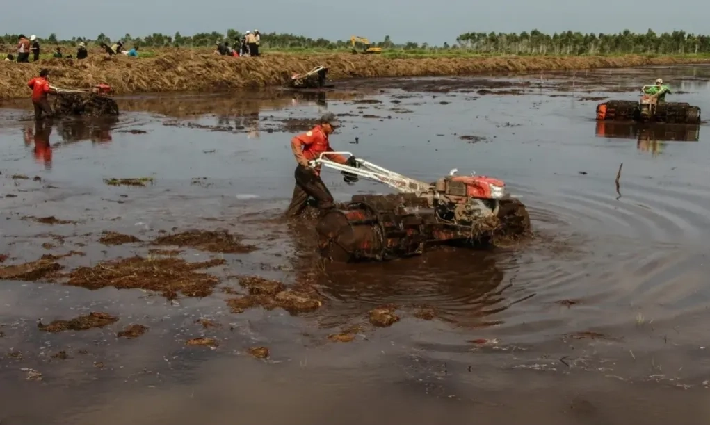 <p id="isPasted">Kementan Tegaskan Luas Cetak Sawah Hanya Separuh Dari Optimalisasi Lahan</p>