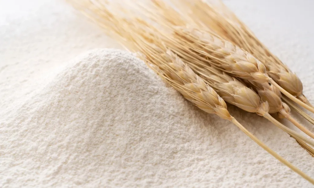 <p id="isPasted">BPS: Impor Gandum Dari AS Naik 44,21% Di Januari-Maret 2025</p>