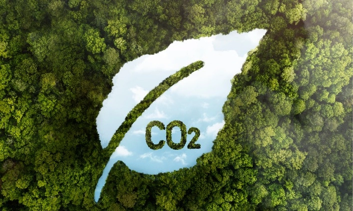 <p>Wow! Transaksi Bursa Karbon Indonesia Ungguli Malaysia Dan Laos 7 Kali Lipat</p>