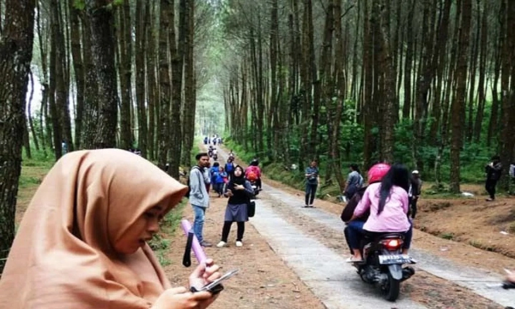 <p>Pemprov Jateng Optimalisasi Potensi Hutan</p>