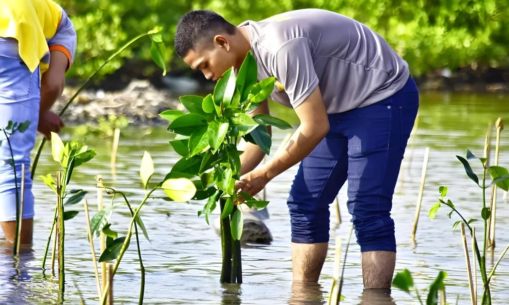 <p>Gubernur Sebut Kondisi Pesisir Lampung Mengkhawatirkan</p>