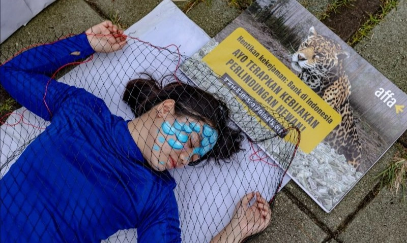 <p><em id="isPasted">Act for Farmed Animals,&nbsp;</em>Kampanye Kesejahteraan Hewan</p>