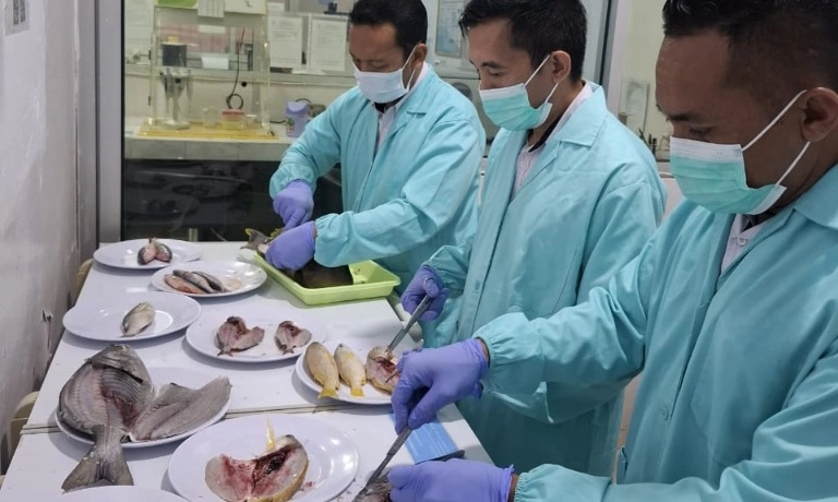 <p id="isPasted">KKP: Tangkapan Gunakan Bom Ikan Tak Layak Konsumsi</p>