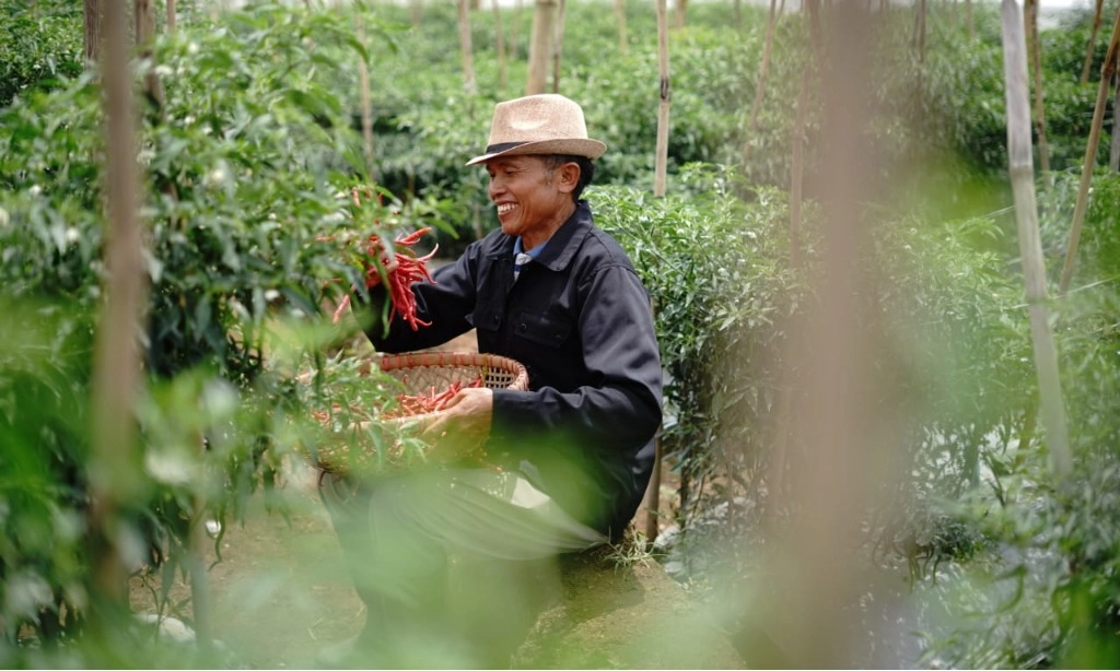 <p>Benih Unggul Dan Teknologi, Kiat Jitu Sukses Bertani</p>