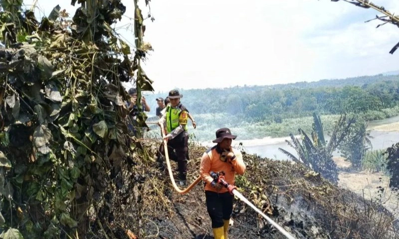 <p>Kemenhut Sebut 7 Daerah Sumsel Waspada Karhutla</p>