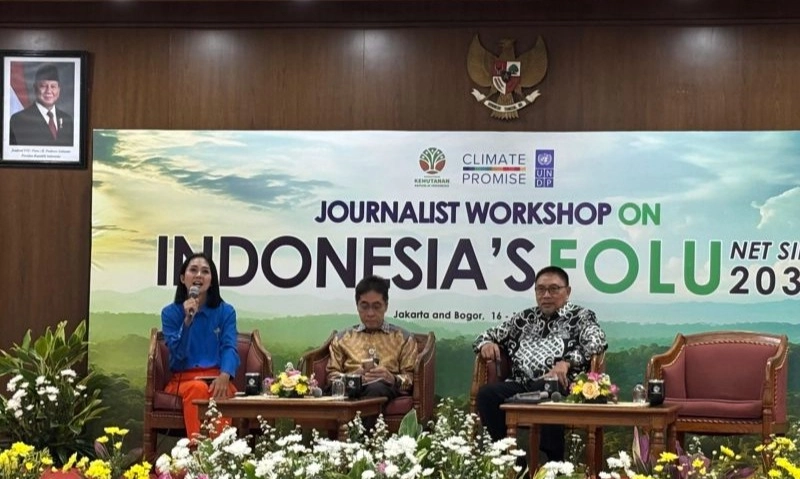 <p>Kemenhut Matangkan RBC Tahap Ke-5 Untuk Dukung Deforestasi&nbsp;</p>