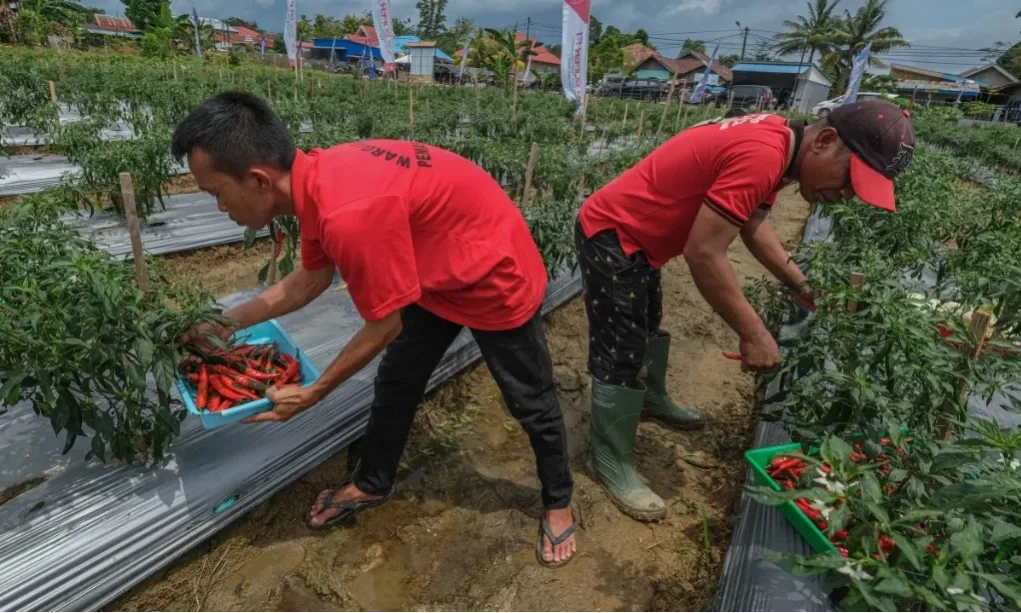 <p>Pegawai Dan Warga LP Dan Rutan Wajib Upayakan Ketahanan Pangan</p>