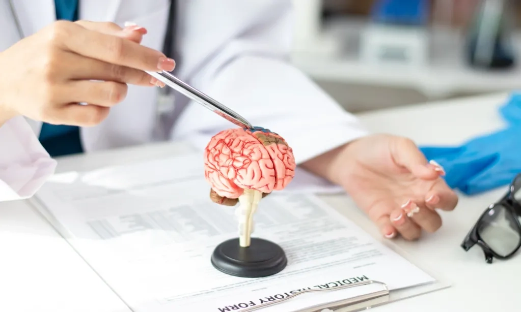 <p id="isPasted">Terlalu Lama Duduk Tingkatkan Risiko Alzheimer, Meski Rutin Berolahraga</p>