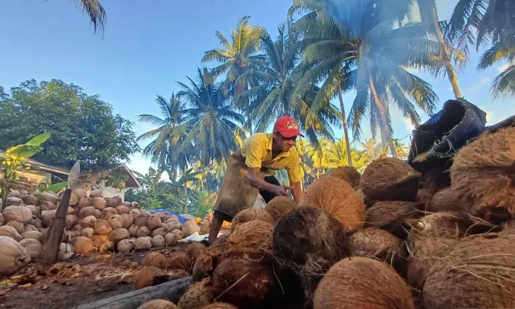 <p dir="ltr" id="isPasted">BPS: Ekspor Kelapa Bulat Maret 2025 Capai 39.500 Ton</p>