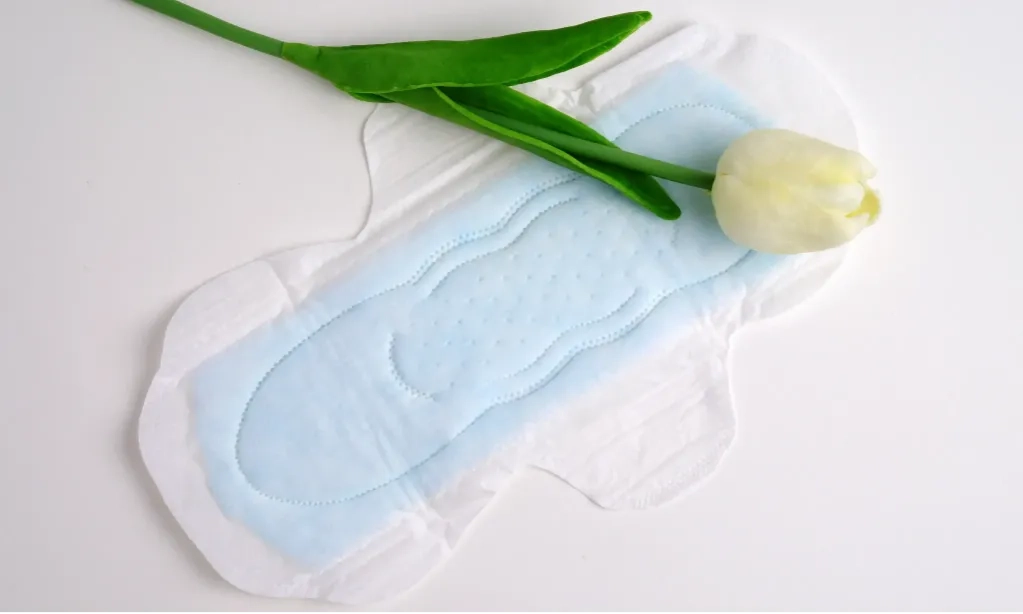 <p>1 Dari 4 Perempuan Berpotensi Alami Pendarahan Menstruasi Berat</p>