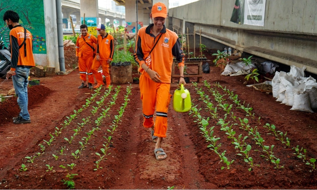 <p>Instansi Pemerintah, Sekolah, Dan Kantor Di Makassar Akan Gelar <em>Urban Farming</em></p>