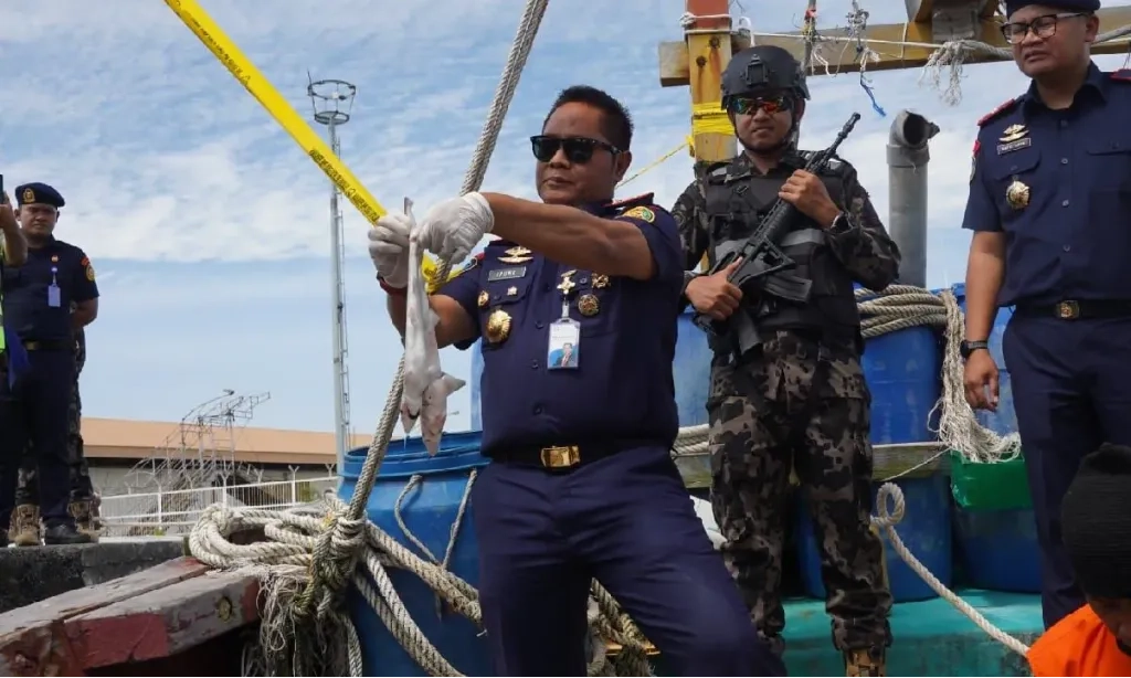 <p id="isPasted">KKP Cegah Kerugian Negara Rp13 T Dari Praktik Penangkapan Ikan Ilegal 2020-2025</p>