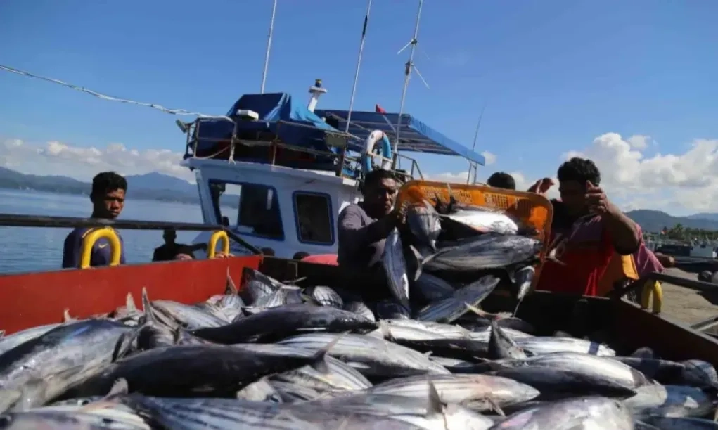 <p>Tambang Nikel Tak Menambah Kesejahteraan Masyarakat Setempat</p>