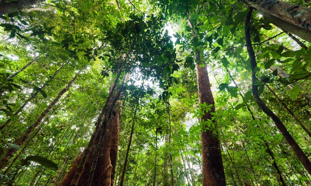 <p>Pemerintah Buka Ruang Kolaborasi Masyarakat Pulihkan 12,7 Juta Ha Lahan Kritis</p>